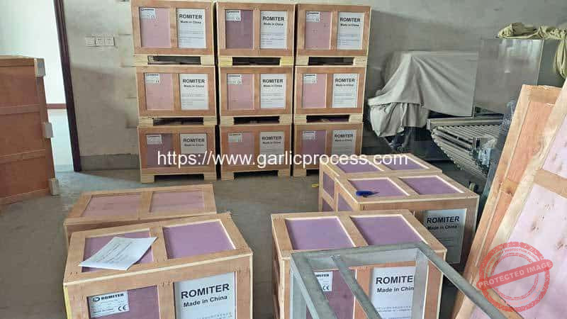 Garlic-Root-and-Stem-Cutting-Machine-for-Ukraine-Customer